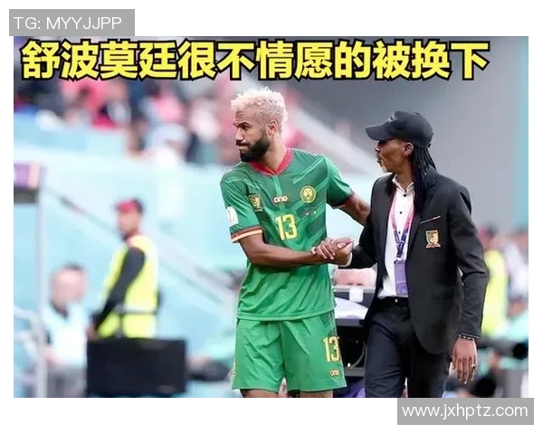 世界杯精彩对决墨西哥与喀麦隆的激烈碰撞与历史回顾