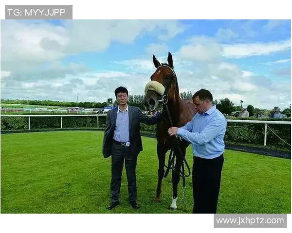 周志鹏与伊萨2017年对决精彩回顾与赛后分析