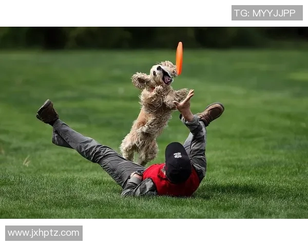 骑士与勇士激战六场精彩回顾视频全景解析与精彩瞬间重温 骑士与勇士激战六场精彩回顾视频全景解析与精彩瞬间重温