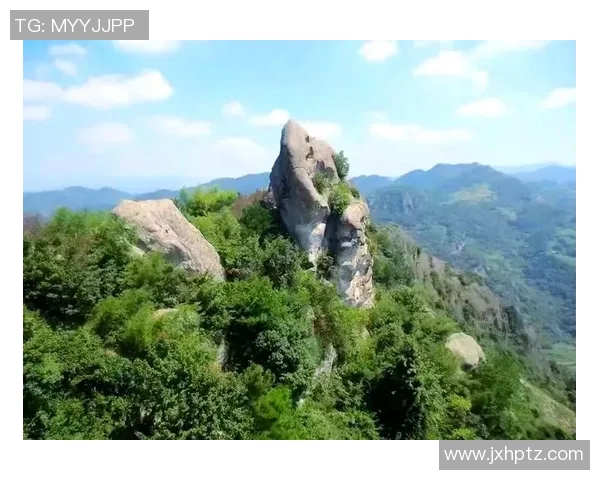 李强的排球人生深度对话探秘从赛场到人生的精彩旅程