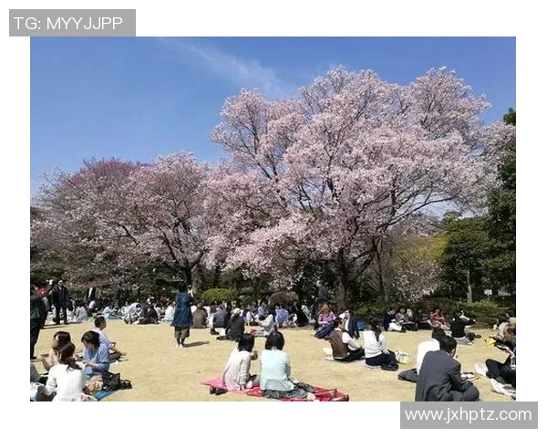 樱花队与东京队激战正酣比分结果揭晓精彩瞬间回顾 樱花队与东京队激战正酣比分结果揭晓精彩瞬间回顾