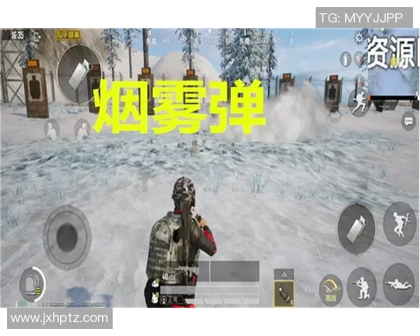 和平精英战术解析：深入探讨TES在区域防守中的策略与执行